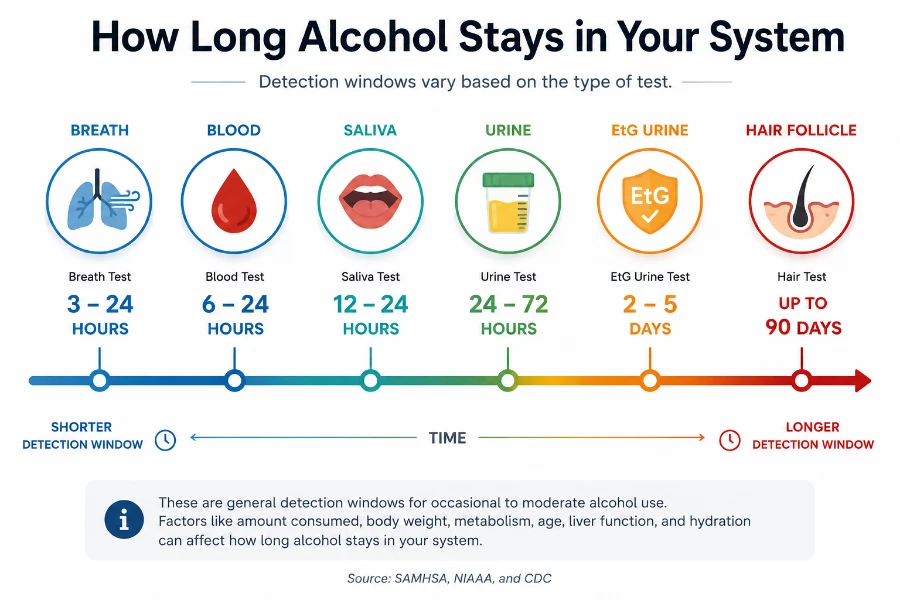 How long does alcohol stay in your system - detection timeline chart for blood, breath, urine, saliva, and hair